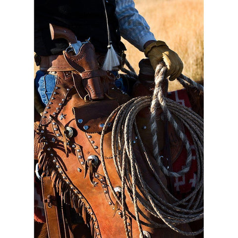 Range Rider III ~ Color White Modern Wood Framed Art Print by Dawson, Robert