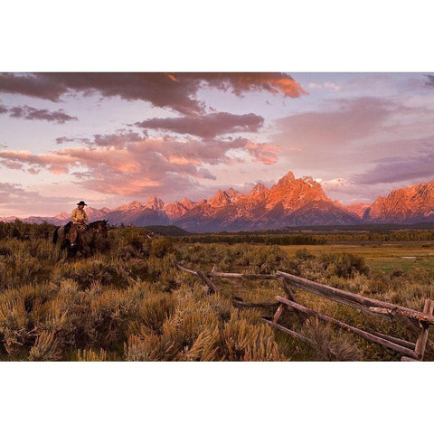 Ridin Fences 1 ~ Color White Modern Wood Framed Art Print by Dawson, Robert