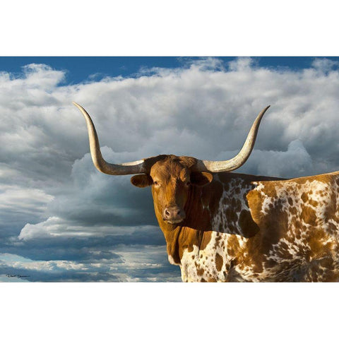 Texas Longhorn ~ Color White Modern Wood Framed Art Print by Dawson, Robert