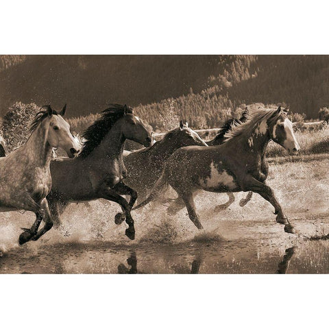 The Big Race White Modern Wood Framed Art Print by Dawson, Robert