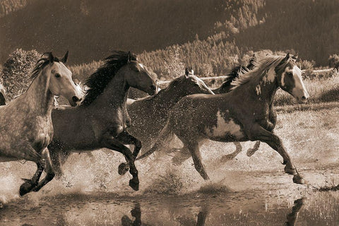 The Big Race White Modern Wood Framed Art Print with Double Matting by Dawson, Robert