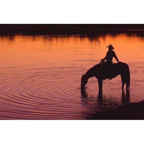 Texas Sunset Black Modern Wood Framed Art Print by Dawson, Robert