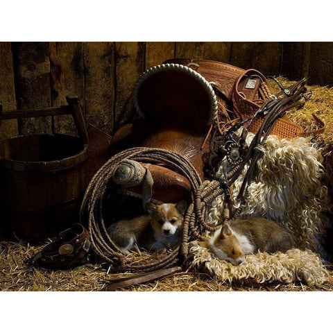 Waiting for the Boss White Modern Wood Framed Art Print by Dawson, Robert