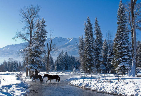 Winter In the Wallowa Black Ornate Wood Framed Art Print with Double Matting by Dawson, Robert