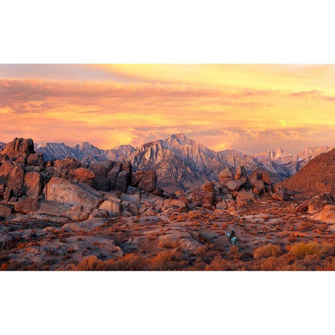 Under the Western Skies White Modern Wood Framed Art Print by Dawson, Robert