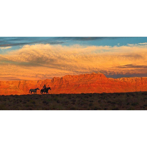 Trailing Home White Modern Wood Framed Art Print by Dawson, Robert