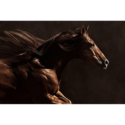 Into the Wind Black Modern Wood Framed Art Print by Dawson, Robert