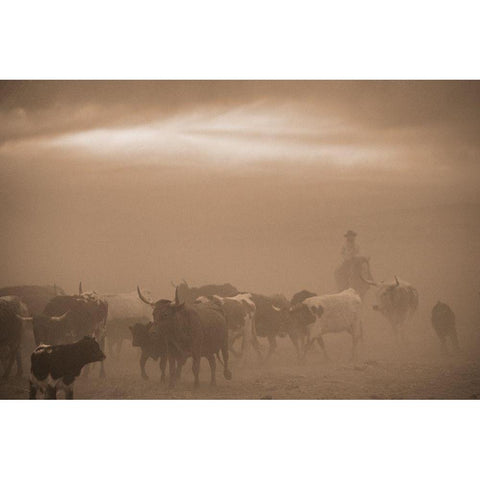 Caught In A Dust Storm White Modern Wood Framed Art Print by Dawson, Robert