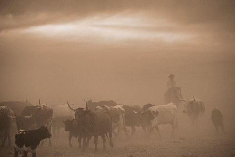 Caught In A Dust Storm White Modern Wood Framed Art Print with Double Matting by Dawson, Robert
