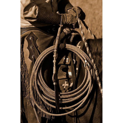 Hired Hand II White Modern Wood Framed Art Print by Dawson, Robert