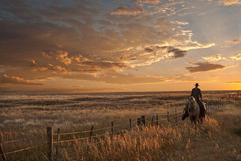 Sunset on the Prairie White Modern Wood Framed Art Print with Double Matting by Dawson, Robert