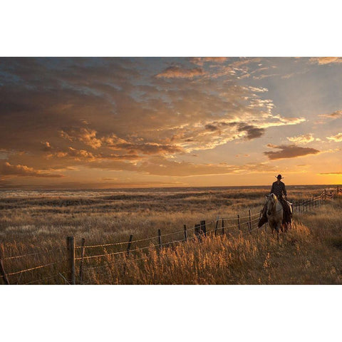 Sunset on the Prairie White Modern Wood Framed Art Print by Dawson, Robert