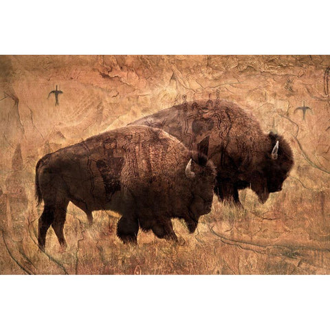 The Elders White Modern Wood Framed Art Print by Dawson, Robert