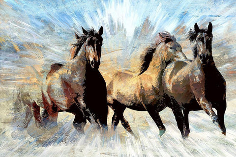 Against the Wind White Modern Wood Framed Art Print with Double Matting by Bolokofsky, Ronald