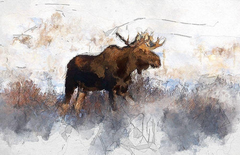 Bull Moose White Modern Wood Framed Art Print with Double Matting by Bolokofsky, Ronald