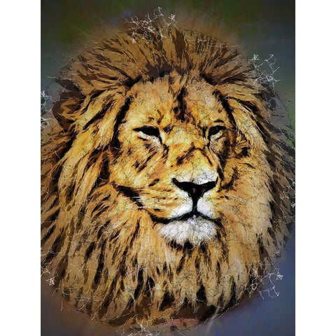 King of the Jungle Gold Ornate Wood Framed Art Print with Double Matting by Bolokofsky, Ronald