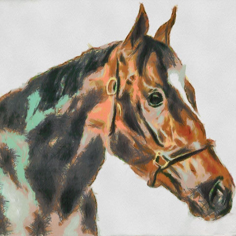 Portrait of a Winner Black Modern Wood Framed Art Print with Double Matting by Bolokofsky, Ronald