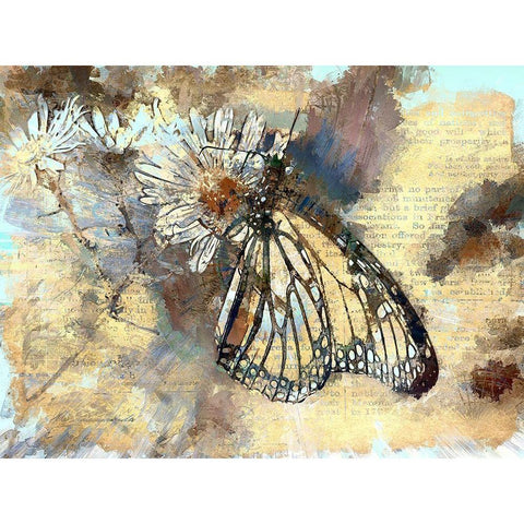 Butterfly Wings Black Modern Wood Framed Art Print by Bolokofsky, Ronald