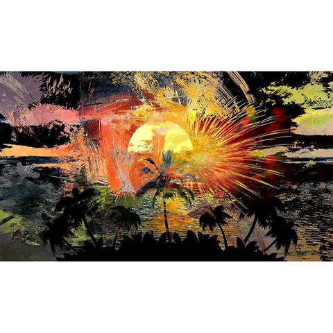 Tropical Fireworks Black Modern Wood Framed Art Print with Double Matting by Bolokofsky, Ronald