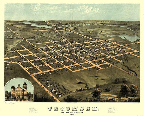 Tecumseh Michigan - Ruger 1868 Black Ornate Wood Framed Art Print with Double Matting by Ruger