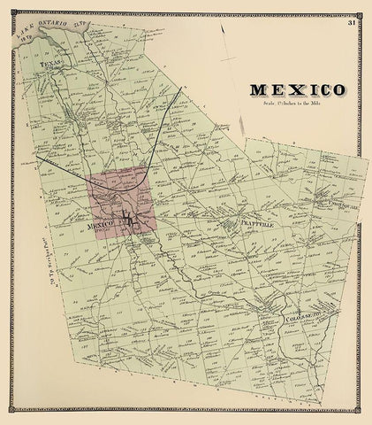 Mexico New York Landowner - Stone 1866 Black Ornate Wood Framed Art Print with Double Matting by Stone