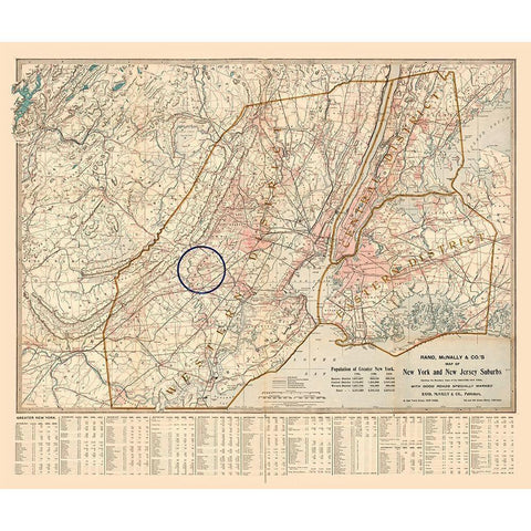 New York -1895 White Modern Wood Framed Art Print by Unknown