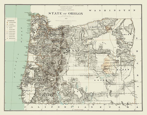 Oregon - Bien 1879 White Modern Wood Framed Art Print with Double Matting by Bien