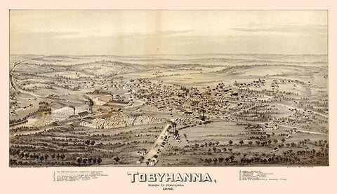 Tobyhanna Pennsylvania - Fowler 1891 Black Ornate Wood Framed Art Print with Double Matting by Fowler