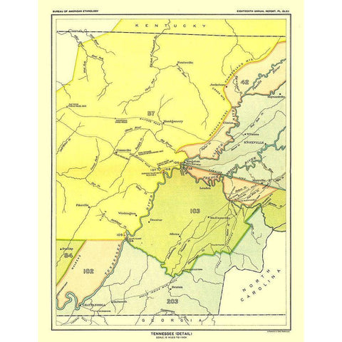 Tennessee - Detail - Hoen 1896 Gold Ornate Wood Framed Art Print with Double Matting by Hoen