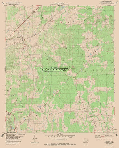 Appleby Texas Quad - USGS 1983 Black Ornate Wood Framed Art Print with Double Matting by USGS