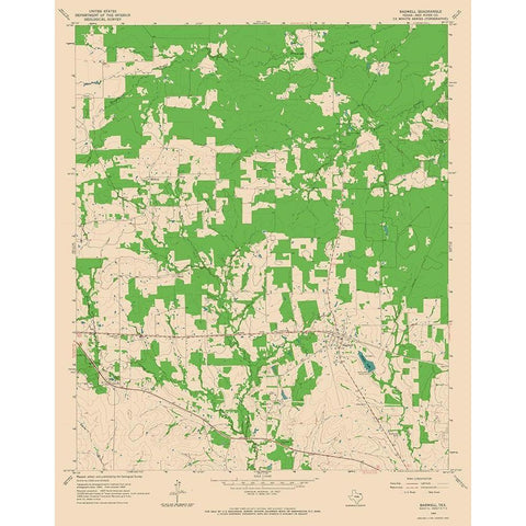 Bagwell Texas Quad - USGS 1964 Gold Ornate Wood Framed Art Print with Double Matting by USGS