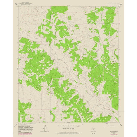 Bailey Draw Texas Quad - USGS 1964 Black Modern Wood Framed Art Print with Double Matting by USGS