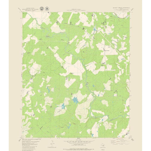 Blanket Springs Texas Quad - USGS 1979 Black Modern Wood Framed Art Print with Double Matting by USGS
