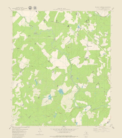 Blanket Springs Texas Quad - USGS 1979 White Modern Wood Framed Art Print with Double Matting by USGS