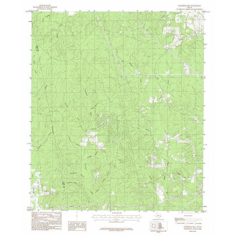 Chambliss Hill Teaxs Quad - USGS 1984 Gold Ornate Wood Framed Art Print with Double Matting by USGS