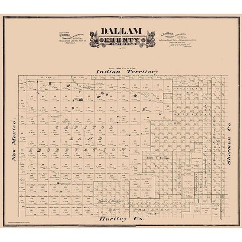 Dallam County Texas - Hall 1888 Black Modern Wood Framed Art Print by Hall