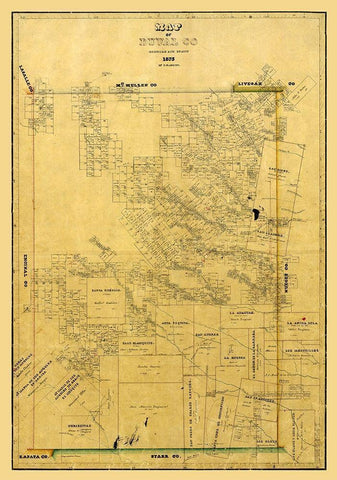 Duval County Texas - Arlitt 1875 Black Ornate Wood Framed Art Print with Double Matting by Arlitt