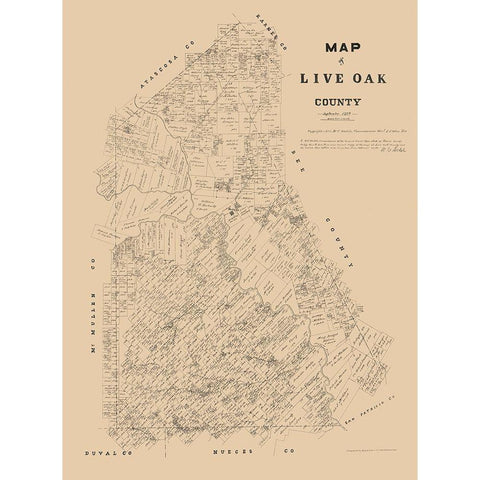 Live Oak County Texas - Walsh 1879 Black Modern Wood Framed Art Print by Walsh