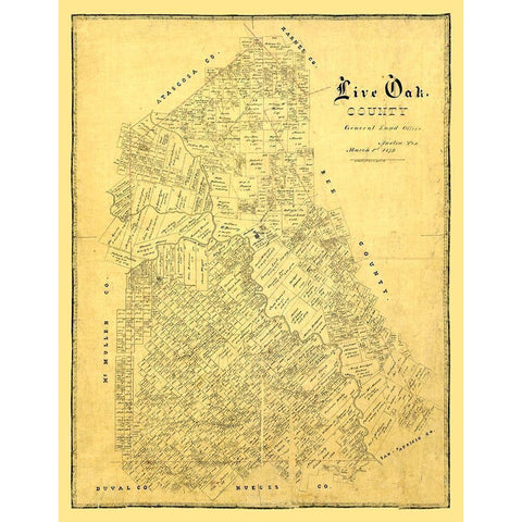 Live Oak County Texas -1879 Black Modern Wood Framed Art Print with Double Matting by Unknown
