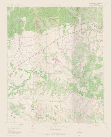 Tampico Siding Texas Quad - USGS 1967 Black Ornate Wood Framed Art Print with Double Matting by USGS