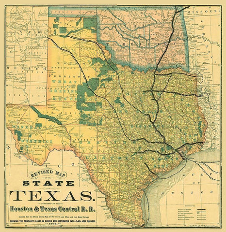 Texas Revised - Rand McNally 1876 Black Ornate Wood Framed Art Print with Double Matting by Rand McNally