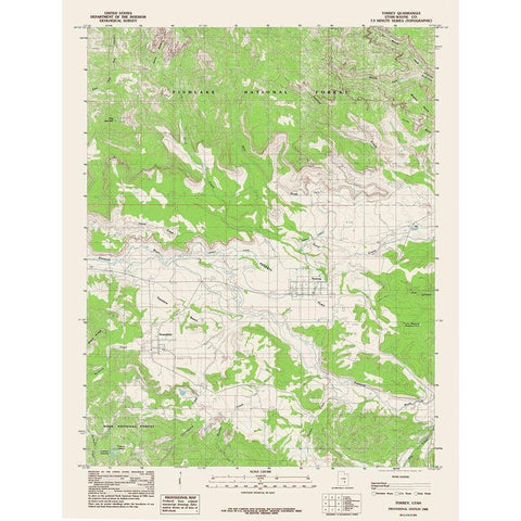 Torrey Utah Quad - USGS 1985 Gold Ornate Wood Framed Art Print with Double Matting by USGS