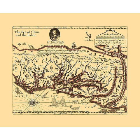 Virginia - Sir Francis Drakes - Hills White Modern Wood Framed Art Print by Hills