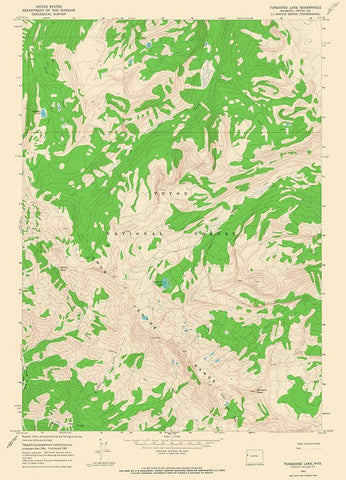 Turquoise Lake Wyoming Quad - USGS 1965 White Modern Wood Framed Art Print with Double Matting by USGS