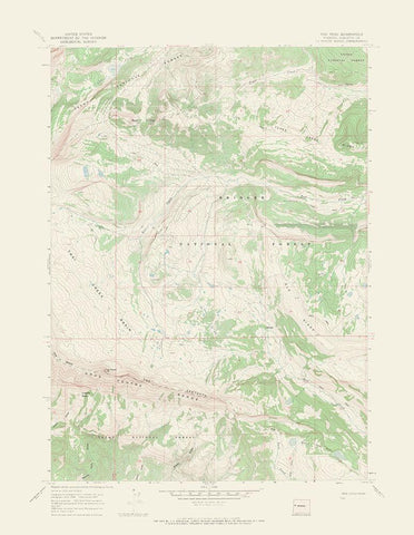 Tosi Peak Wyoming Quad - USGS 1967 White Modern Wood Framed Art Print with Double Matting by USGS