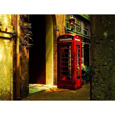 Tardis Gold Ornate Wood Framed Art Print with Double Matting by Bartola