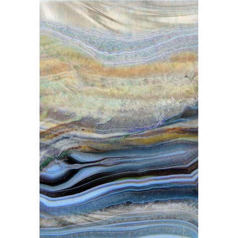 Coastal Wind Gold Ornate Wood Framed Art Print with Double Matting by Franklin