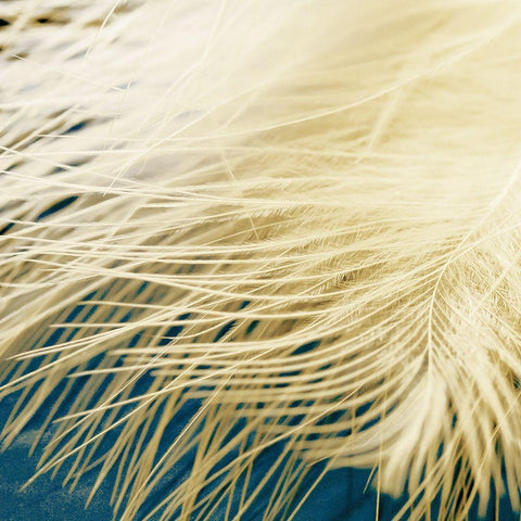 Feathergold I White Modern Wood Framed Art Print by Franklin