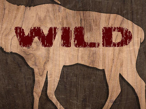 Lodge 5 White Modern Wood Framed Art Print with Double Matting by Phillip, Jamie