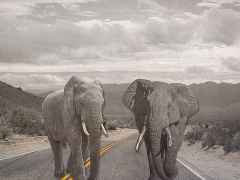 Road Stars White Modern Wood Framed Art Print with Double Matting by Phillip, Jamie